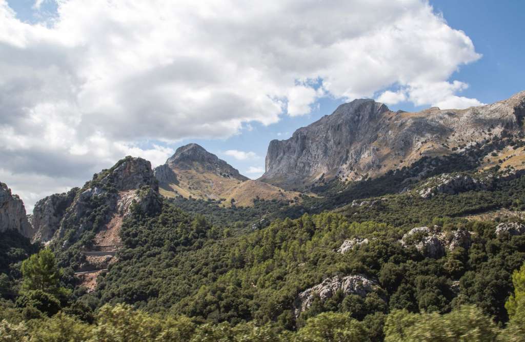 reasons-to-visit-majorca-nature