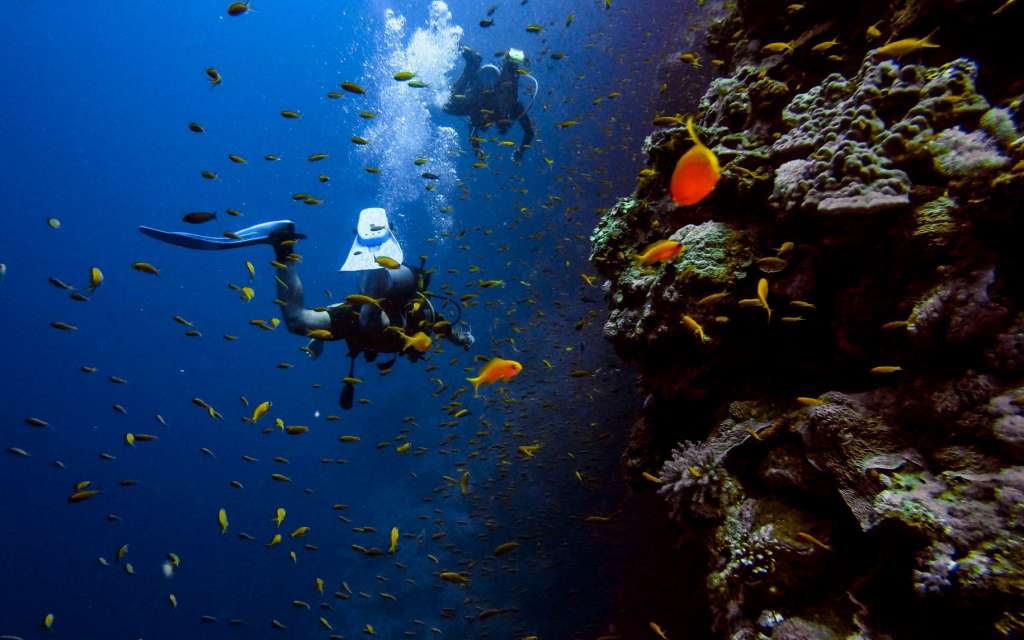 Scuba Diving in Malta