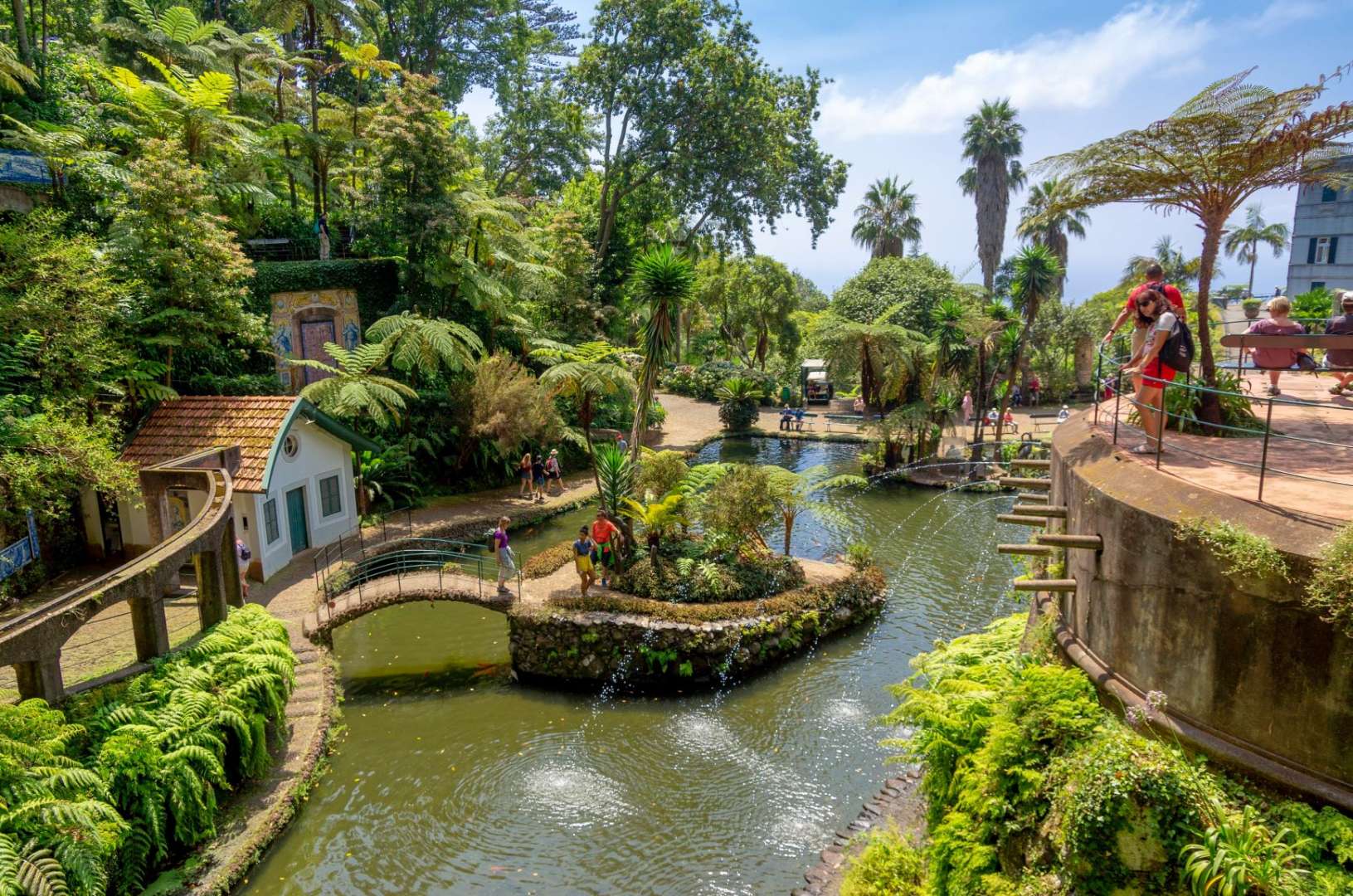 Reasons to Visit Madeira - Botanical Gardens